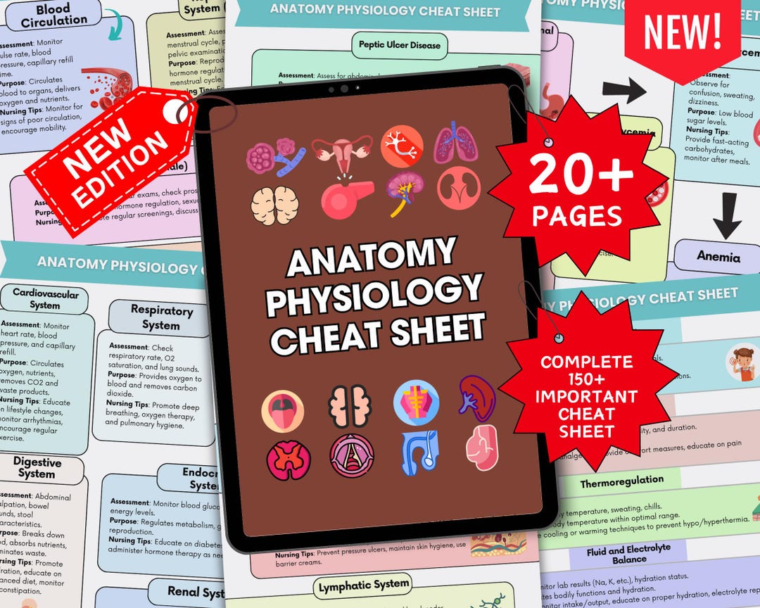150+ Anatomy Physiology Cheat Sheet 2025, Physiology Notes, A & P Notes ...