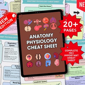 May include: Anatomy and Physiology Cheat Sheet on a tablet, with the title clearly visible. The image includes a red tag that says "NEW EDITION" and a red starburst graphic that says "20+ PAGES" and "COMPLETE 150+ IMPORTANT CHEAT SHEET".