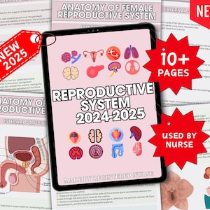 Notes sur les soins infirmiers sur l&#39;appareil reproducteur, Système reproducteur, Anatomie et physiologie, Bundle de notes sur l&#39;appareil reproducteur, École d&#39;infirmières