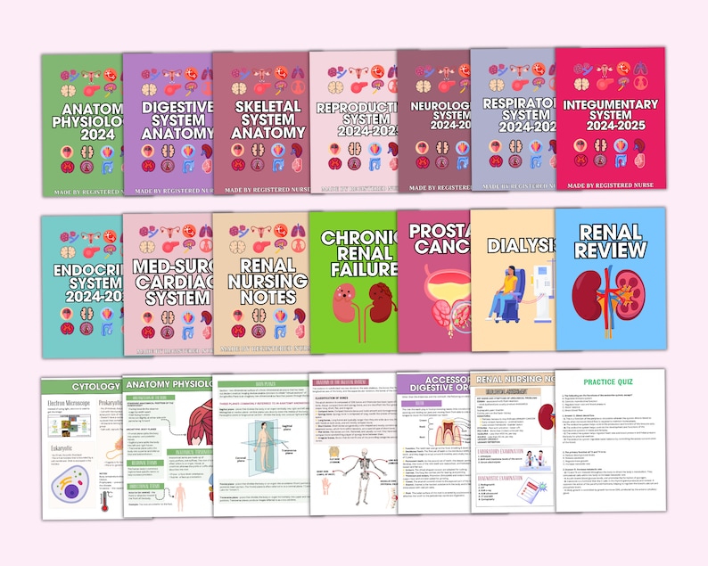 May include: A collection of medical study guides and notes. The covers feature titles like "Anatomy Physiology 2024", "Digestive System Anatomy", and "Renal Review". The color palette includes green, purple, pink, and blue, with anatomical illustrations.