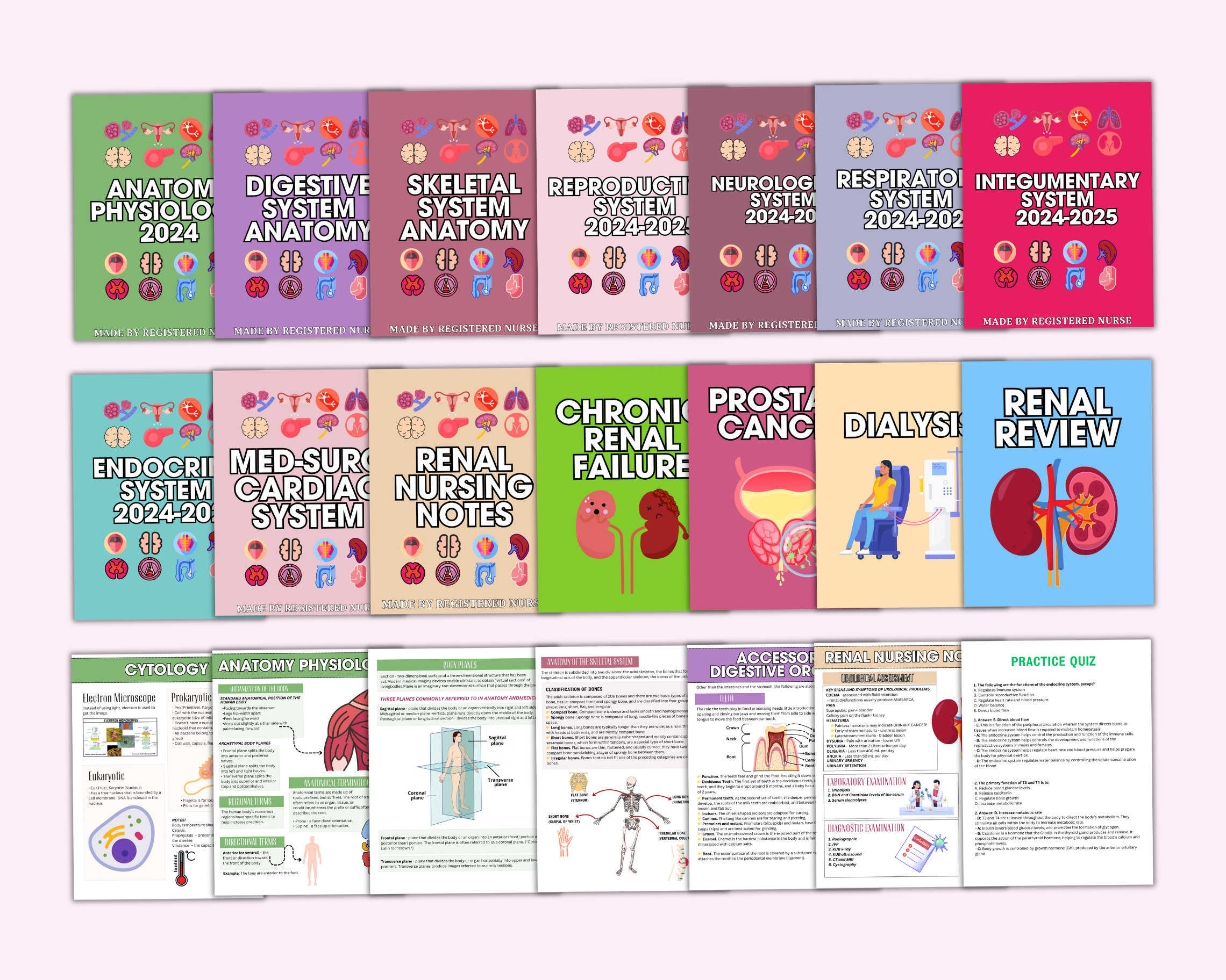 Advance Anatomy & Physiology II Bundle With Flashcards, Anatomy Study ...