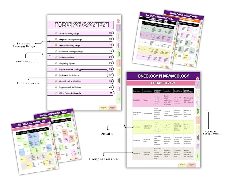 May include: A set of oncology pharmacology study sheets featuring a table of contents and detailed charts. The pages include color-coded sections for chemotherapy, targeted therapy, and immunotherapy drugs, with clear headings and organized data tables.