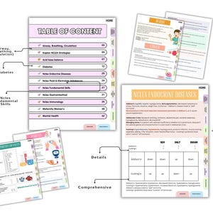 2026 Next Gen NCLEX Study Guide, Hyperlinked NEW Colorful & Concise (PDF Download) image 5