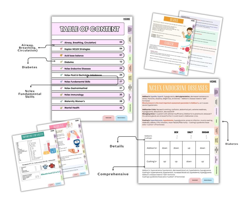 2026 Next Gen NCLEX Study Guide, Hyperlinked NEW Colorful & Concise (PDF Download) image 5