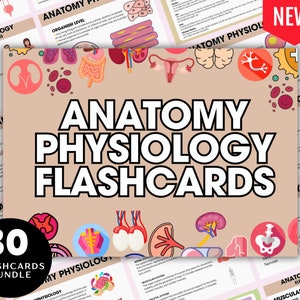 Volledige anatomie en fysiologie Flashcards 2024, aantekeningen verpleegschool, studiegids anatomie, fysiologie, pdf direct downloaden, medische notitie