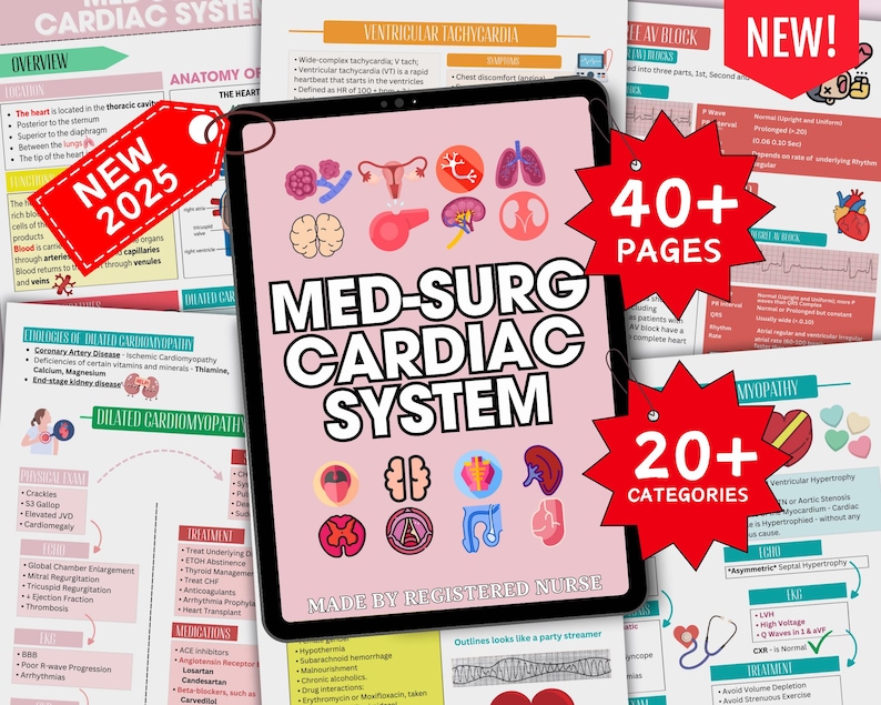 Medical Study Guide MEGA BUNDLE Nursing School Notes, Guide for Nursing Students ...