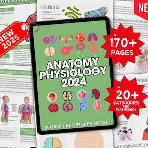 Advance Anatomy & Physiology II-bundel met flashcards, studiegids anatomie, aantekeningen fysiologie, aantekeningen verpleegschool, medische aantekeningen, verpleging