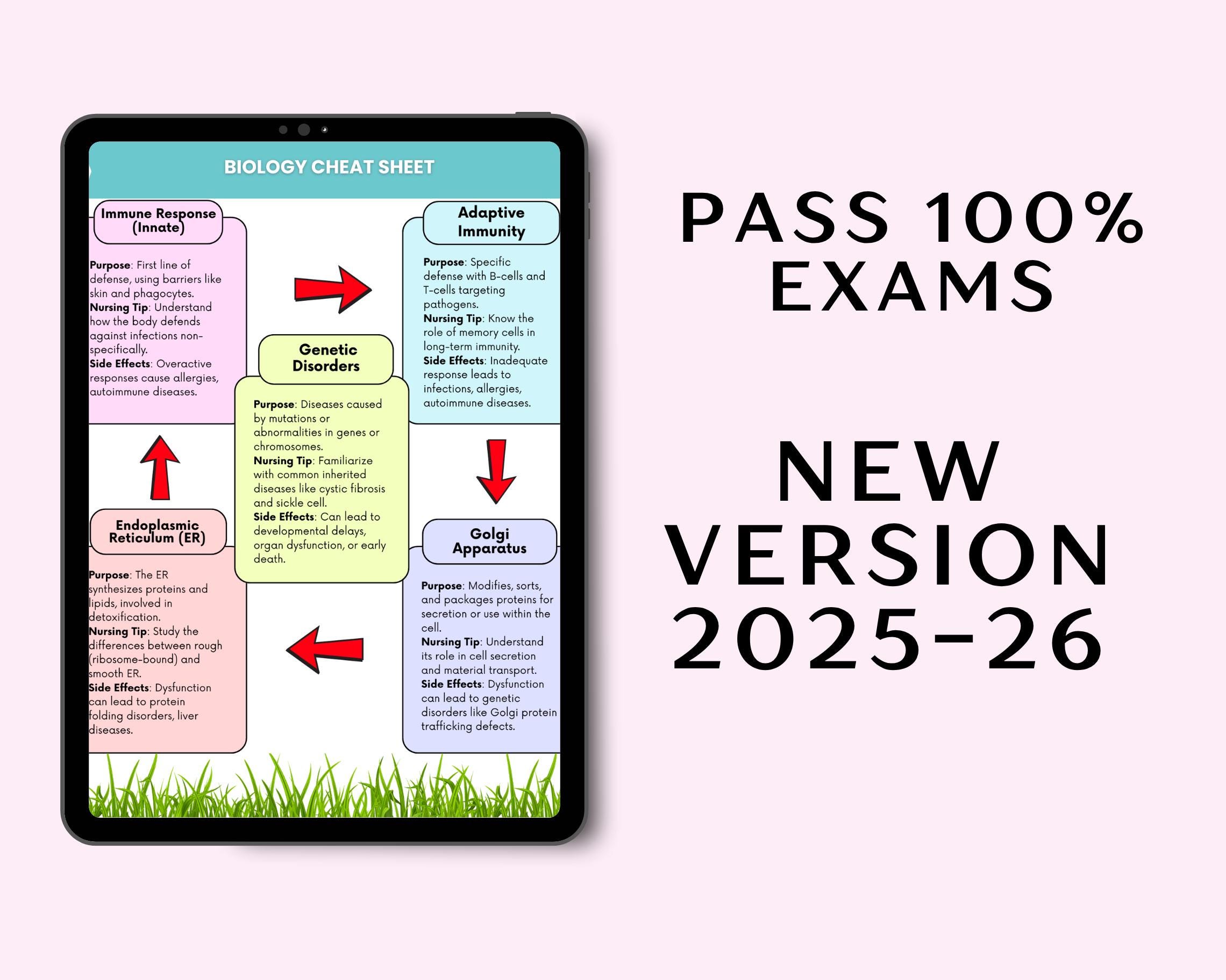 Biology Cheat Sheet, Anatomy, Medical Study Guide, 2026 New (digital Download) - Etsy Australia