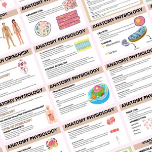 Complete Anatomy & Physiology Flashcards 2024, Nursing School Notes ...