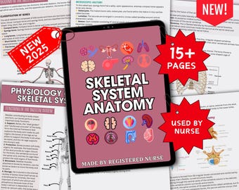 Skeletal System Anatomy Notes, Major Bones Diagrams (PDF Pattern)