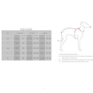 May include: A size guide chart for dog apparel featuring a table with sizes XS through XL, listing measurements in inches and centimeters for length, chest, and neck. Includes a line drawing of a dog with labels A, B, and C for measuring.