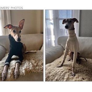 K&ouml;nnte beinhalten: Zwei italienische Windhunde, die Pullover tragen. Ein Hund tr&auml;gt einen schwarzen Pullover mit wei&szlig;en Verzierungen und der andere Hund tr&auml;gt einen cremefarbenen Pullover. Beide Hunde sitzen auf einer hellbraunen, flauschigen Oberfl&auml;che.