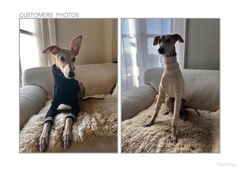 K&ouml;nnte beinhalten: Zwei italienische Windhunde, die Pullover tragen. Ein Hund tr&auml;gt einen schwarzen Pullover mit wei&szlig;en Verzierungen und der andere Hund tr&auml;gt einen cremefarbenen Pullover. Beide Hunde sitzen auf einer hellbraunen, flauschigen Oberfl&auml;che.
