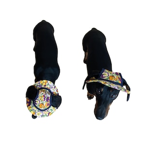 Pode incluir: Dois cães dachshund pretos, um usando um chapéu floral e o outro uma roupa floral combinando. Os chapéus e roupas apresentam um padrão floral colorido com detalhes em roxo, amarelo e verde.