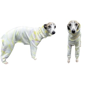 Peut inclure: Deux Whippets portant des pyjamas assortis en tie-dye. Les pyjamas sont de couleur jaune clair et blanche avec un motif tie-dye. Les chiens sont debout sur un fond blanc.