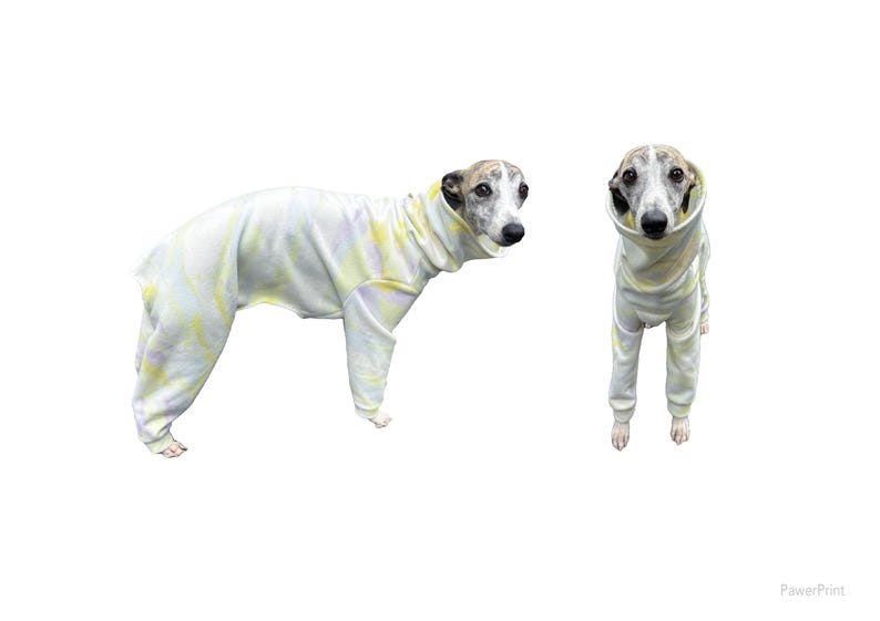 Peut inclure: Deux Whippets portant des pyjamas assortis en tie-dye. Les pyjamas sont de couleur jaune clair et blanche avec un motif tie-dye. Les chiens sont debout sur un fond blanc.