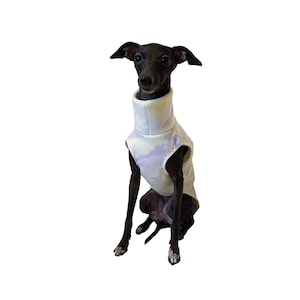 May include: A small black dog with white markings on its paws wearing a sleeveless turtleneck sweater featuring a light purple and white tie-dye pattern. The text PawerPrint is visible in the bottom right corner of the image.