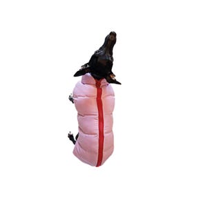 May include: A black dog wearing a pink puffer coat with a red zipper. The dog is looking upwards against a white background. The coat appears to be quilted and designed for warmth.
