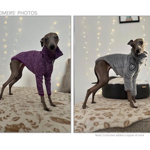 K&ouml;nnte beinhalten: Zwei italienische Windhunde tragen Fleece-Hunde-Pullover. Ein Pullover ist lila und der andere ist grau. Beide Hunde stehen auf einer gemusterten Decke.
