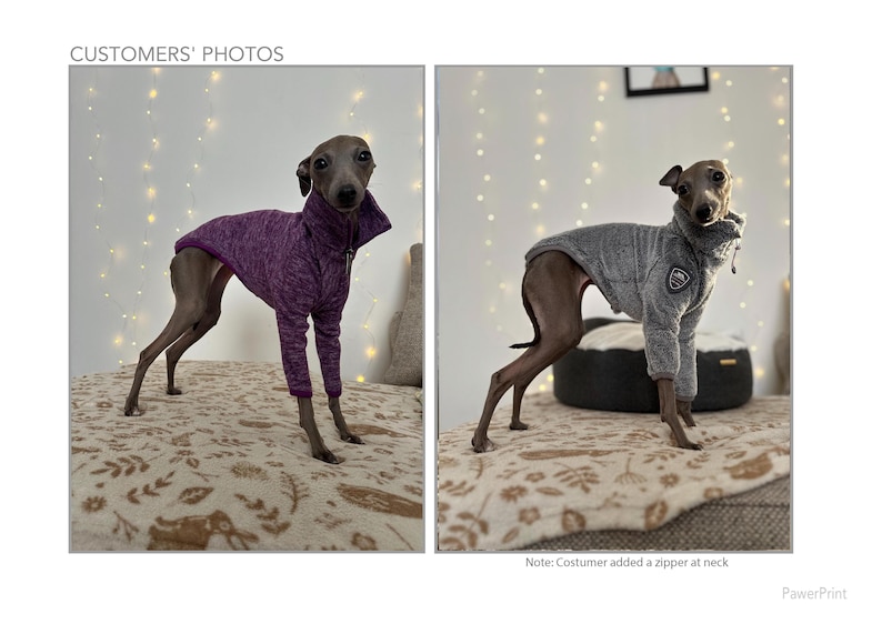 K&ouml;nnte beinhalten: Zwei italienische Windhunde tragen Fleece-Hunde-Pullover. Ein Pullover ist lila und der andere ist grau. Beide Hunde stehen auf einer gemusterten Decke.