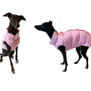 May include: Two black dogs wearing light pink puffer jackets. The jackets have a quilted design and a red trim. One dog is sitting, and the other is standing, both against a white background.
