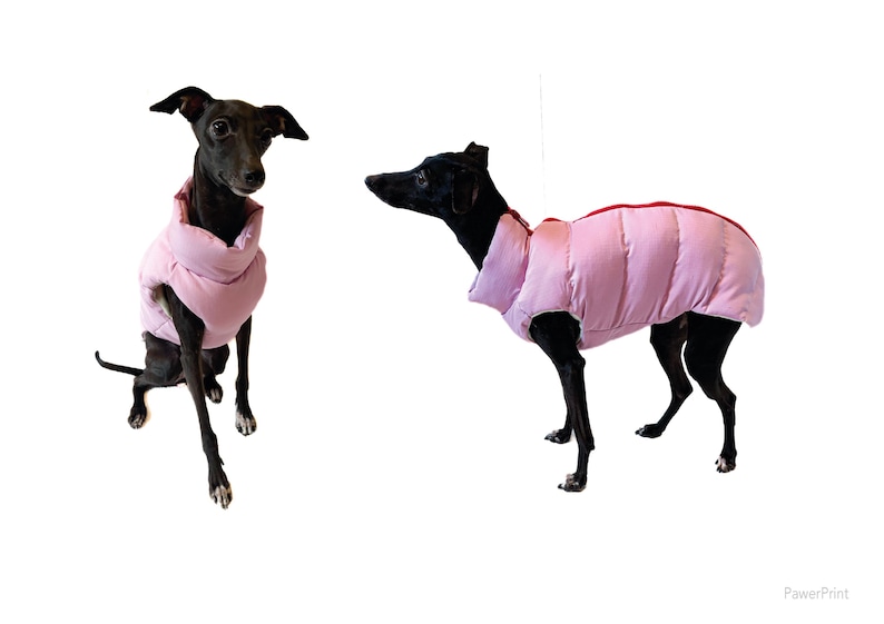 May include: Two black dogs wearing light pink puffer jackets. The jackets have a quilted design and a red trim. One dog is sitting, and the other is standing, both against a white background.