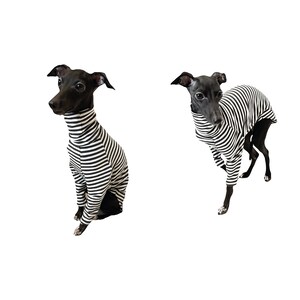 K&ouml;nnte beinhalten: Zwei schwarz-wei&szlig; gestreifte Hundehemden auf italienischen Windhunden. Ein Hund sitzt und der andere steht.