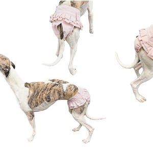 May include: A brindle and white Whippet dog wearing a light pink diaper with a ruffled trim. The dog is shown in three different poses against a white background. The diaper appears to be made of a soft fabric.