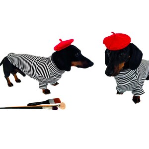 May include: Two dachshund dogs wearing red berets and black and white striped shirts. Three paint brushes are in the foreground. The dogs are on a white background.