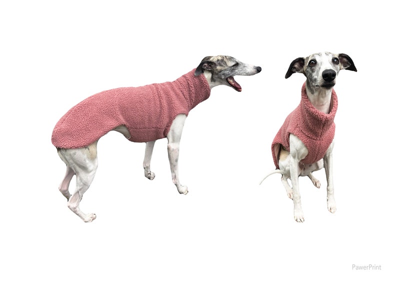 Pile Sweater. Pdf Sewing Pattern for Whippet, Greyhound and Other Big