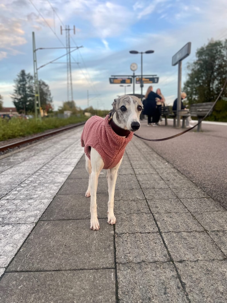 Pile Sweater. Pdf Sewing Pattern for Whippet, Greyhound and Other Big