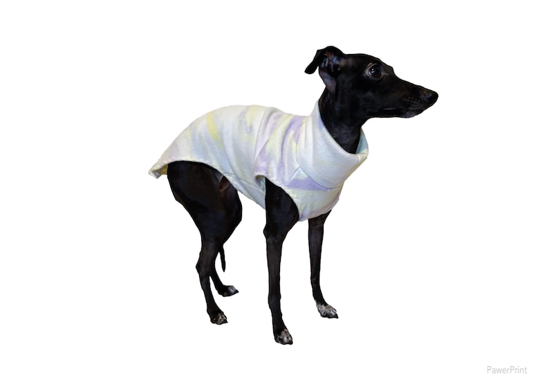 May include: A black Italian Greyhound dog wearing a sleeveless turtleneck sweater. The sweater is white with faint, soft-toned pastel tie-dye patterns in shades of light yellow and purple. The dog is standing in profile, facing toward the right side.