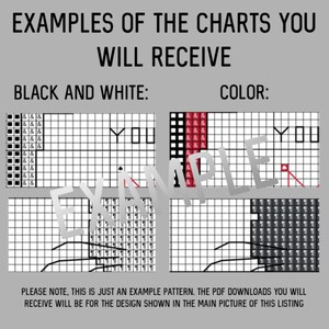 May include: Black and white and colour examples of cross stitch charts. The charts show a small section of a larger design that says "YOU".  "PLEASE NOTE, THIS IS JUST AN EXAMPLE PATTERN. THE PDF DOWNLOADS YOU WILL RECEIVE WILL BE FOR THE DESIGN SHOWN IN THE MAIN PICTURE OF THIS LISTING"
