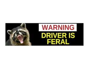 Driver is Feral Racoon Bumper Sticker - Funny Sticker - Hydroflask Sticker - 11.5" x 3"