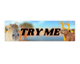 Try Me Capybara - Funny Sticker - Hydroflask Sticker - 11.5" x 3"