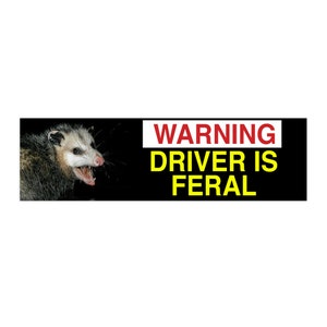 Driver is Feral Bumper Sticker - Funny Sticker - Hydroflask Sticker - 11.5" x 3"