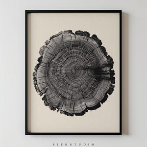 Wood Slice Wall Art Print, Abstract Tree Ring Artwork, Black and White Minimalist Nature Art, Modern Botanical Decor, Printable Wall Art 757