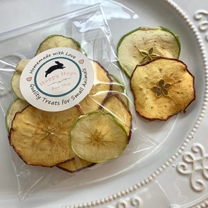 Dehydrated Apple Slices | Treats for Rabbits, Guinea Pigs, Hamsters, & Other Small Animals