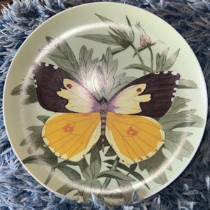 May include: A round, light green decorative plate featuring a detailed illustration of a butterfly with yellow and brown wings. The butterfly is surrounded by green leaves and stems. The plate has a white rim.