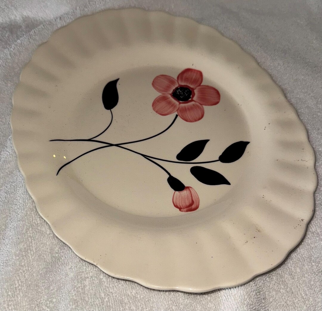Vintage Dinner Plate Blue Ridge Southern Potteries Pattern Known as ...