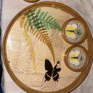 May include: A set of six round wooden coasters with a fern and butterfly design. The coasters are made of wood and have a clear glass top. Each coaster features a different butterfly specimen.
