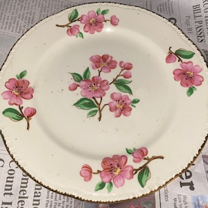 May include: A white ceramic plate with a gold rim and a floral design featuring pink flowers and green leaves. The plate has a vintage aesthetic.