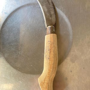 Where to Buy Garden Tools in Singapore: Top 10 Spots