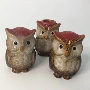 Może przedstawiać: Zestaw trzech ceramicznych solniczek i pieprzniczek w kształcie sowy. Sowy są brązowe i białe z czerwonymi akcentami. Mają duże, czarne oczy i szczegółowy wzór.