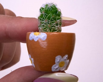 LITTLE PRICKS - Micro Mini Cactus - Spring Collection (Teracotta), DIY Cactus Kits, Hand-Painted Pot, Live Plant