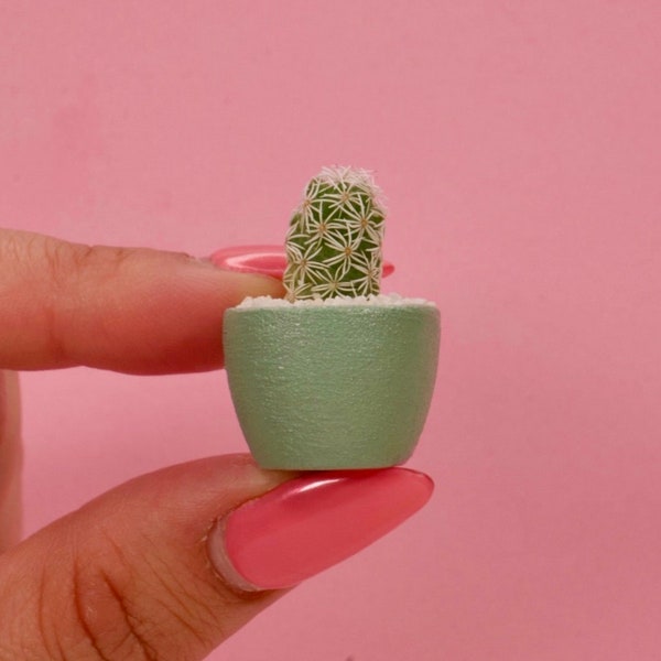 LITTLE PRICKS - Micro Mini Cactus - Turquoise- DIY Cactus Kits, Hand-Painted Pot, Live Plant