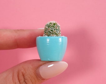 LITTLE PRICKS - Micro Mini Cactus - Baby Blue- DIY Cactus Kits, Hand-Painted Pot, Live Plant