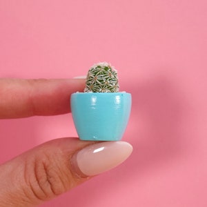 May include: A small cactus plant in a light blue pot. The cactus is green with white spines and is held in a person's hand.