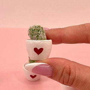 May include: A small green cactus plant in a white ceramic pot with a red heart design. The pot is being held by a hand.