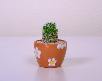 Tiny Cactus Kit, mini plant gift, desk plant, gift for coworker or friend, cute low maintenance plant, handmade pot